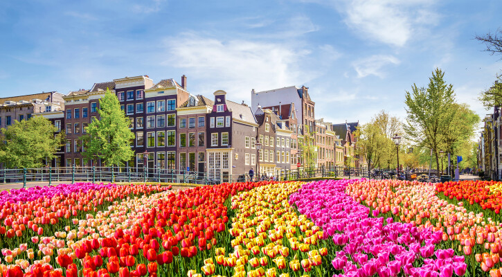 Amsterdam The Netherlands 2021 11 14 22 20 45 v2