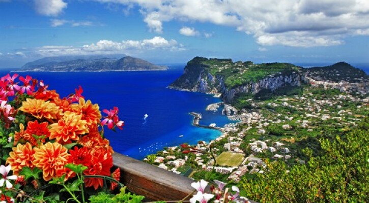 italy capri from above with flowers