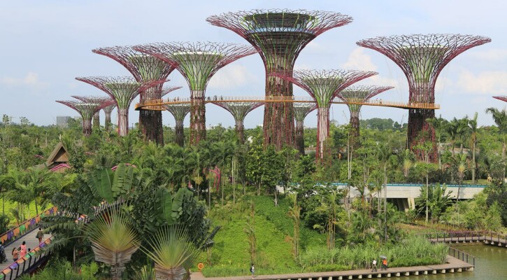 supertreegrove Singapore
